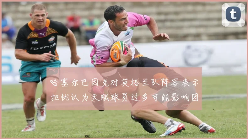 哈塞尔巴因克对英格兰队阵容表示担忧认为天赋球员过多可能影响团队合作