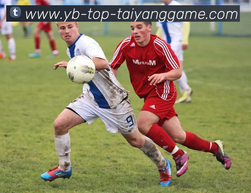 App Interface Preview