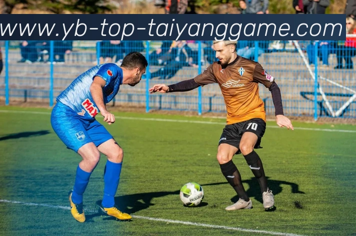 太阳城APP 封面图